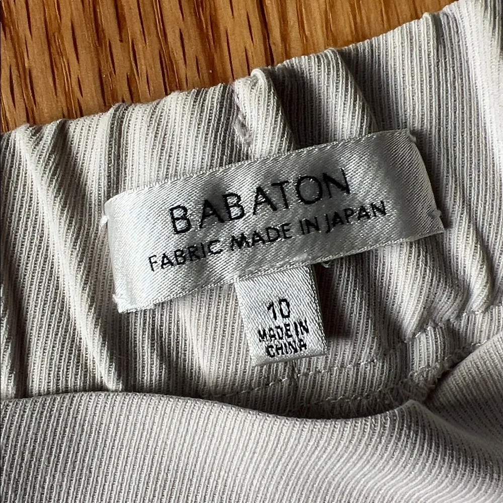 Babaton Aritzia Cohen Pleated Pants - Picture 5 of 5